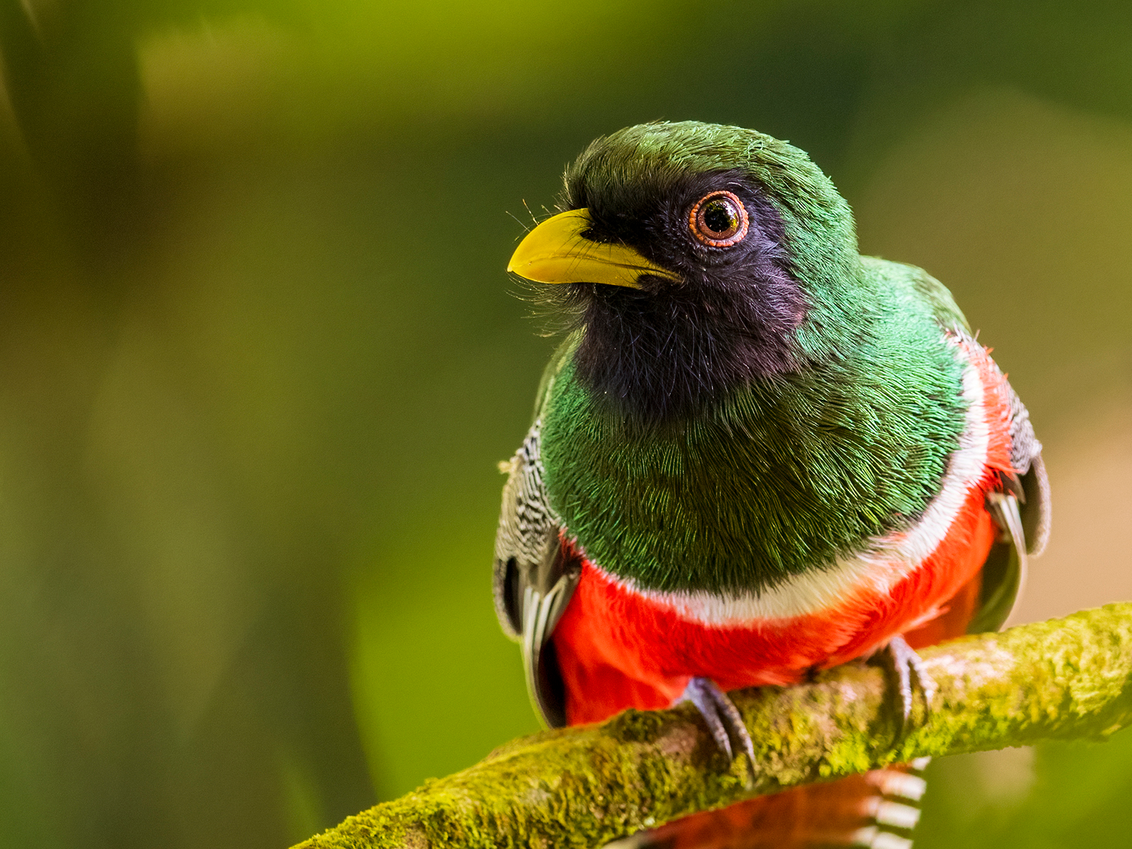 Early Bird Deadline Ends Soon! Explore New Program Details, Workshops & Field Trips